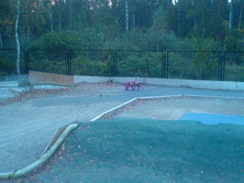 DSC00666_1.jpg