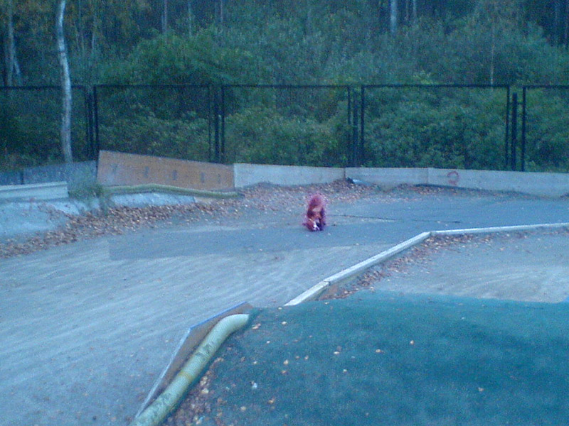 DSC00667_1.jpg