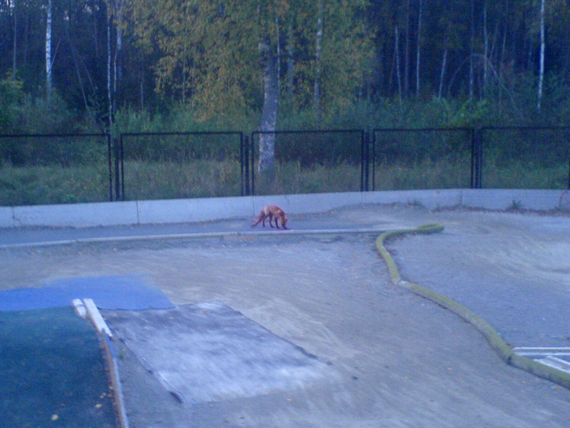DSC00669_1.jpg